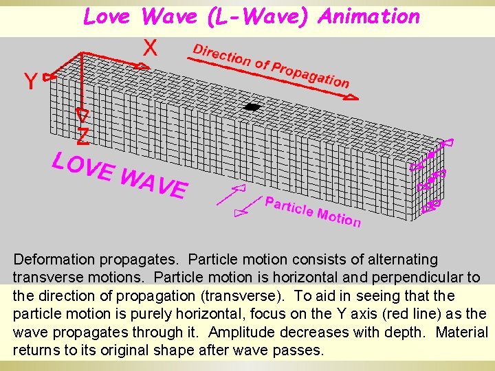 Love Wave (L-Wave) Animation Deformation propagates. Particle motion consists of alternating transverse motions. Particle