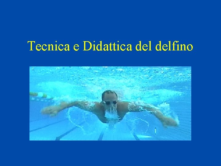 Tecnica e Didattica delfino 