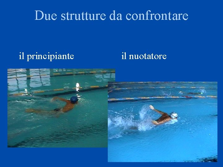 Due strutture da confrontare il principiante il nuotatore 