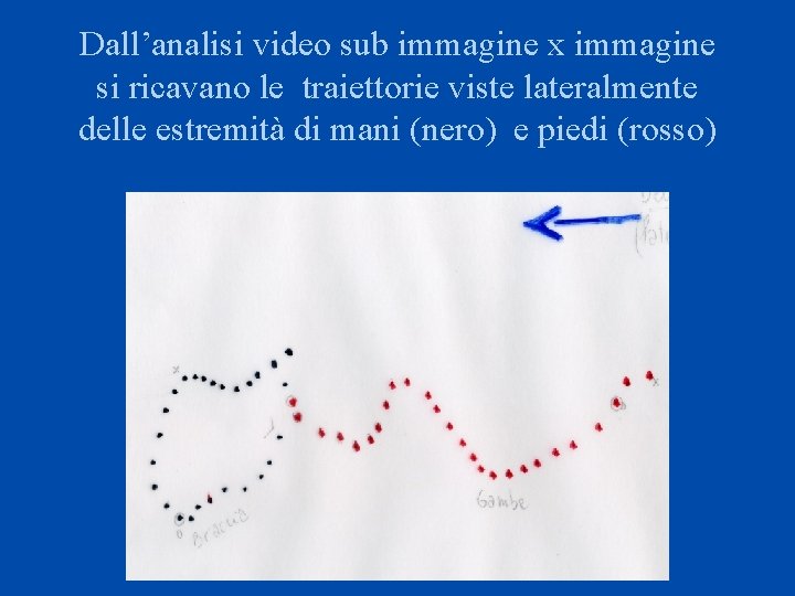 Dall’analisi video sub immagine x immagine si ricavano le traiettorie viste lateralmente delle estremità