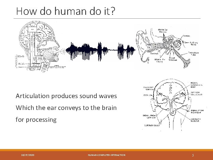 How do human do it? Articulation produces sound waves Which the ear conveys to