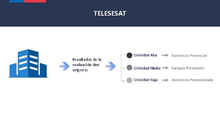 TELESESAT 1000 Empresas Evaluadas Resultados de la evaluación dan origen a: Autoevaluación en Campus