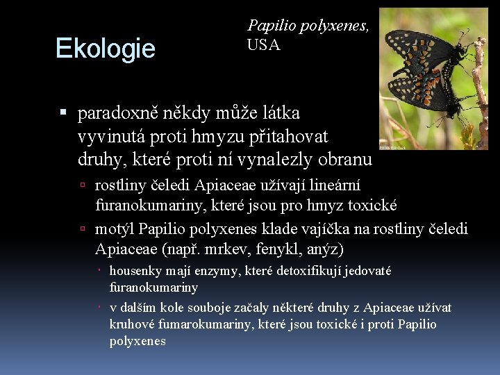 Ekologie Papilio polyxenes, USA paradoxně někdy může látka vyvinutá proti hmyzu přitahovat druhy, které