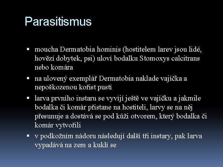 Parasitismus moucha Dermatobia hominis (hostitelem larev jsou lidé, hovězí dobytek, psi) uloví bodalku Stomoxys