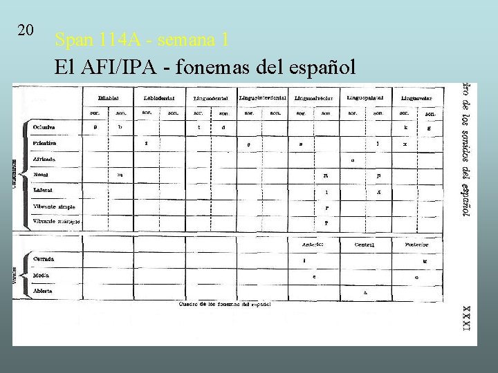 20 Span 114 A - semana 1 El AFI/IPA - fonemas del español 