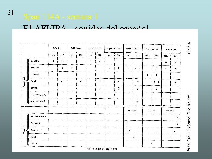 21 Span 114 A - semana 1 El AFI/IPA - sonidos del español 