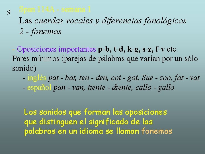 9 Span 114 A - semana 1 Las cuerdas vocales y diferencias fonológicas 2