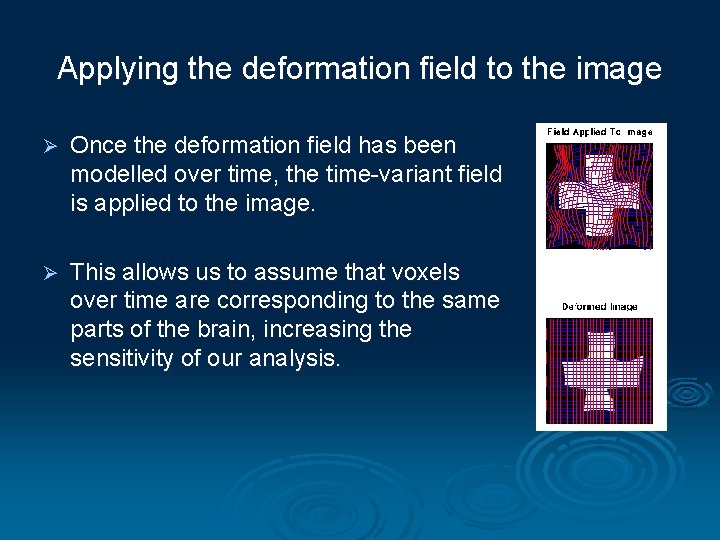 Applying the deformation field to the image Ø Once the deformation field has been