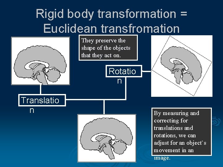 Rigid body transformation = Euclidean transfromation They preserve the shape of the objects that
