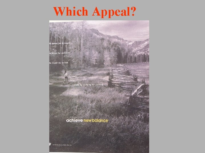 Which Appeal? 