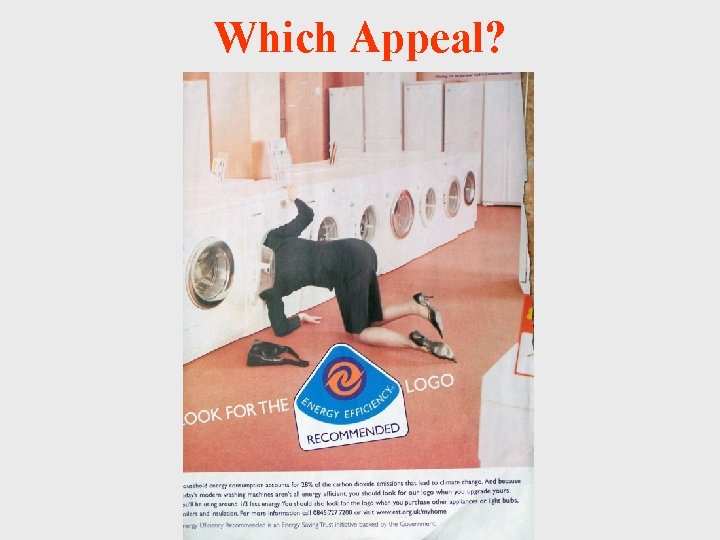 Which Appeal? 