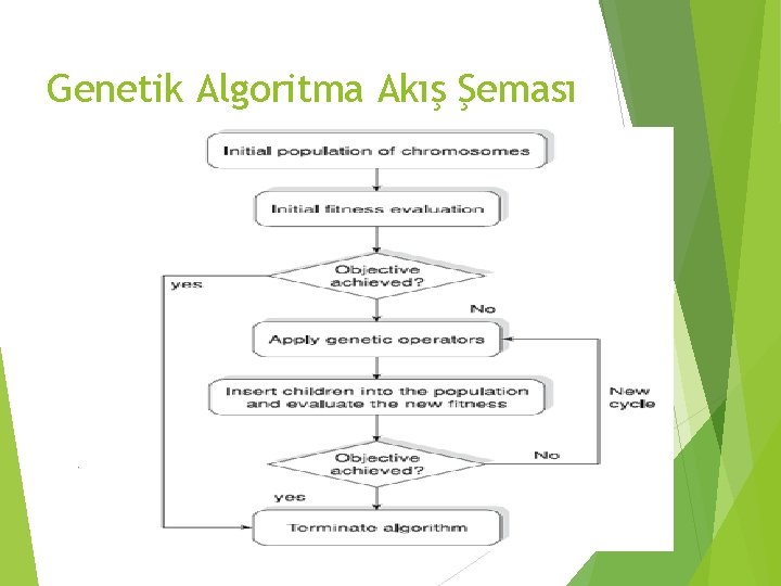 Genetik Algoritma Akış Şeması 