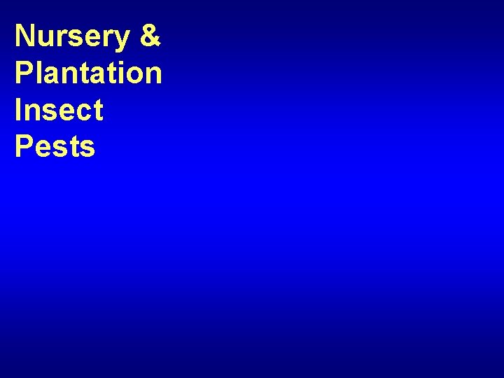 Nursery & Plantation Insect Pests 