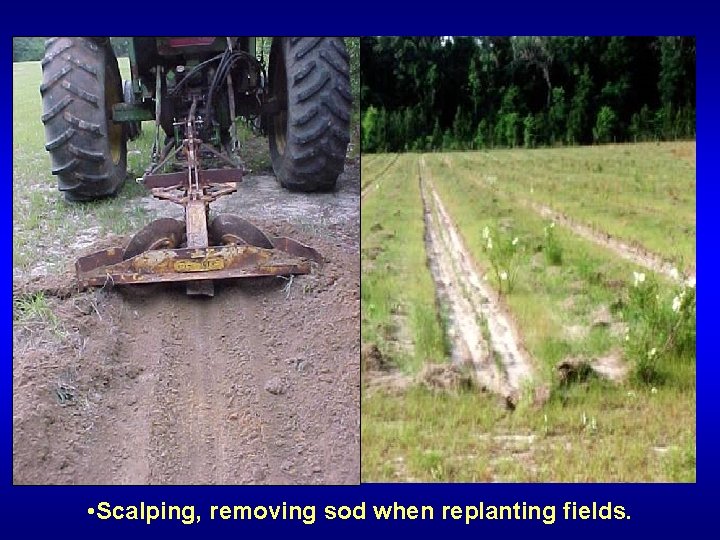  • Scalping, removing sod when replanting fields. 