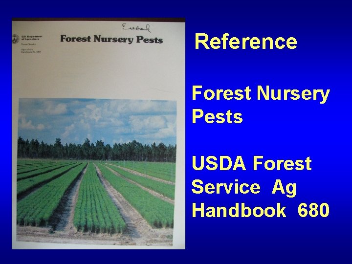 Reference Forest Nursery Pests USDA Forest Service Ag Handbook 680 