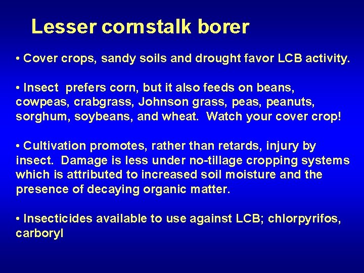 Lesser cornstalk borer • Cover crops, sandy soils and drought favor LCB activity. •