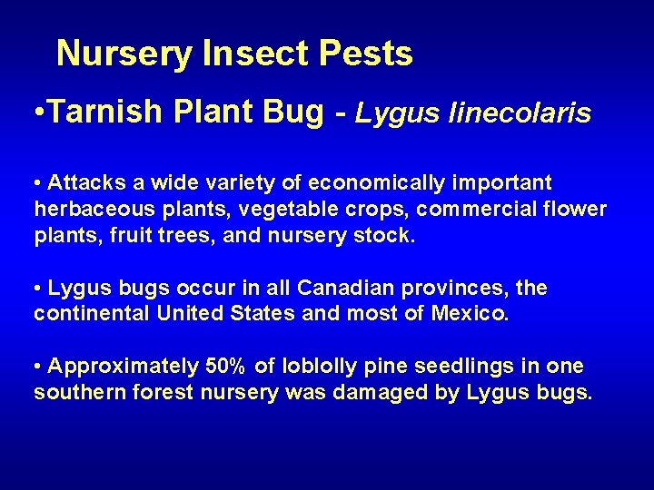 Nursery Insect Pests • Tarnish Plant Bug - Lygus linecolaris • Attacks a wide