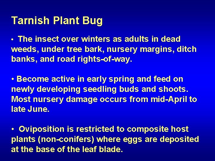 Tarnish Plant Bug • The insect over winters as adults in dead weeds, under