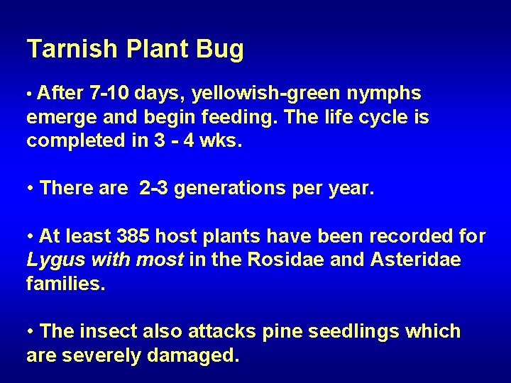 Tarnish Plant Bug • After 7 -10 days, yellowish-green nymphs emerge and begin feeding.