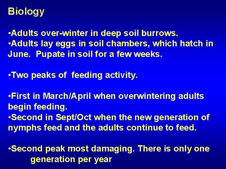 Biology • Adults over-winter in deep soil burrows. • Adults lay eggs in soil