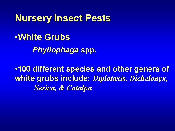 Nursery Insect Pests • White Grubs Phyllophaga spp. • 100 different species and other