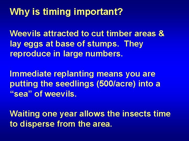 Why is timing important? Weevils attracted to cut timber areas & lay eggs at