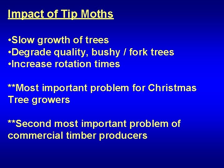 Impact of Tip Moths • Slow growth of trees • Degrade quality, bushy /