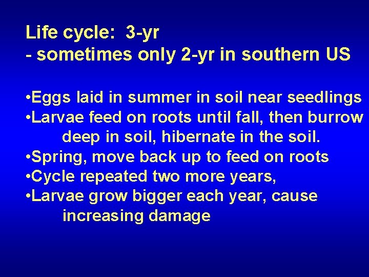 Life cycle: 3 -yr - sometimes only 2 -yr in southern US • Eggs