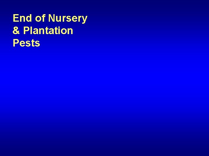 End of Nursery & Plantation Pests 