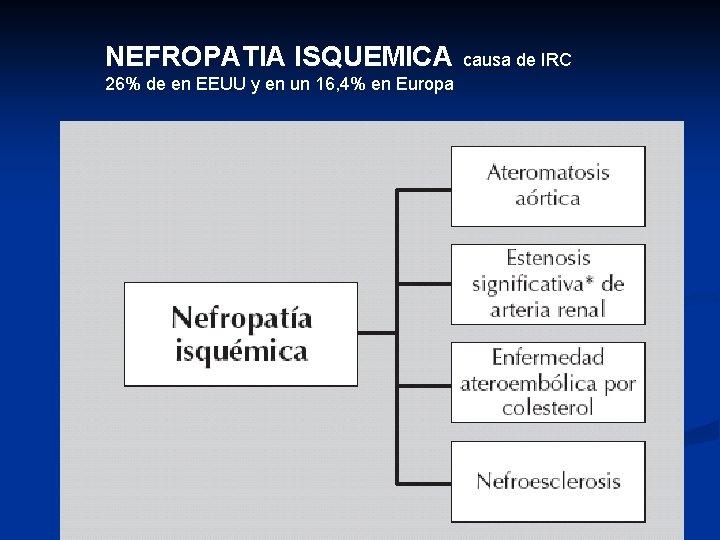 NEFROPATIA ISQUEMICA 26% de en EEUU y en un 16, 4% en Europa causa NEFROPATIA ISQUEMICA 26% de en EEUU y en un 16, 4% en Europa causa