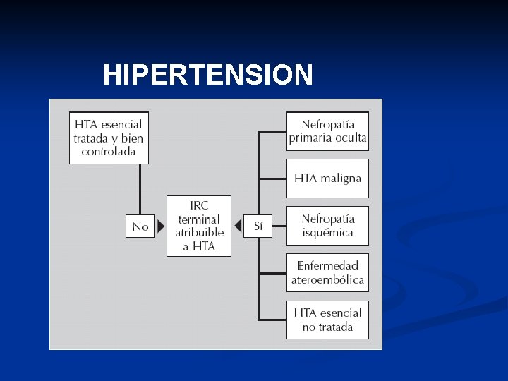 HIPERTENSION HIPERTENSION