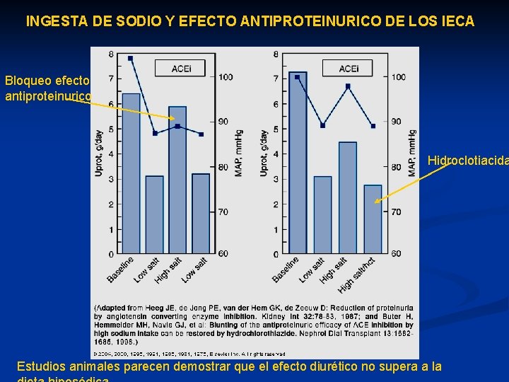 INGESTA DE SODIO Y EFECTO ANTIPROTEINURICO DE LOS IECA Bloqueo efecto antiproteinurico Hidroclotiacida Estudios INGESTA DE SODIO Y EFECTO ANTIPROTEINURICO DE LOS IECA Bloqueo efecto antiproteinurico Hidroclotiacida Estudios