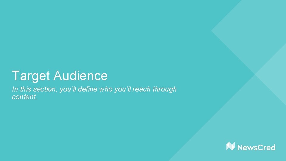 Target Audience In this section, you’ll define who you’ll reach through content. 