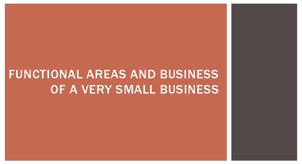 FUNCTIONAL AREAS AND BUSINESS OF A VERY SMALL BUSINESS 