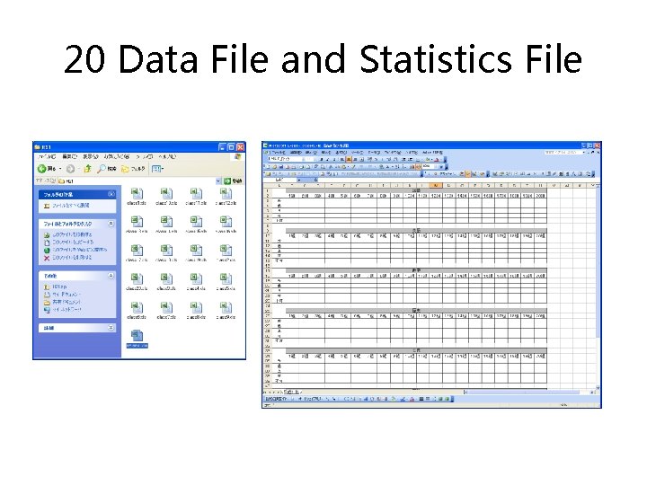 20 Data File and Statistics File 
