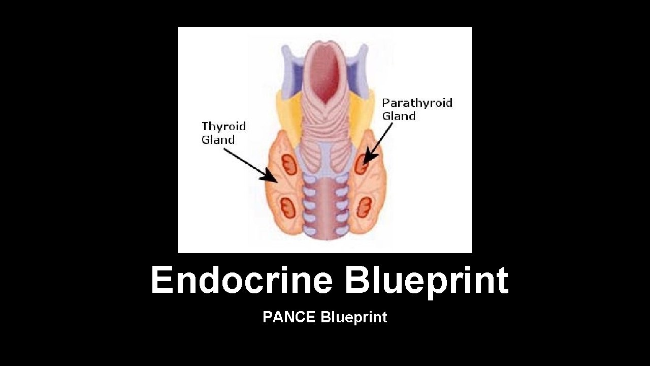 Endocrine Blueprint PANCE Blueprint 