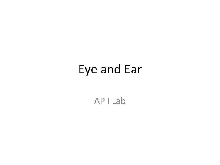 Eye and Ear AP I Lab 