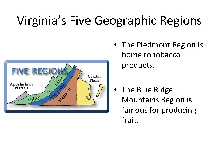 Virginia’s Five Geographic Regions • The Piedmont Region is home to tobacco products. •