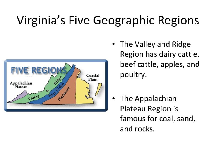 Virginia’s Five Geographic Regions • The Valley and Ridge Region has dairy cattle, beef