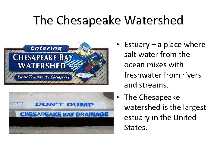 The Chesapeake Watershed • Estuary – a place where salt water from the ocean