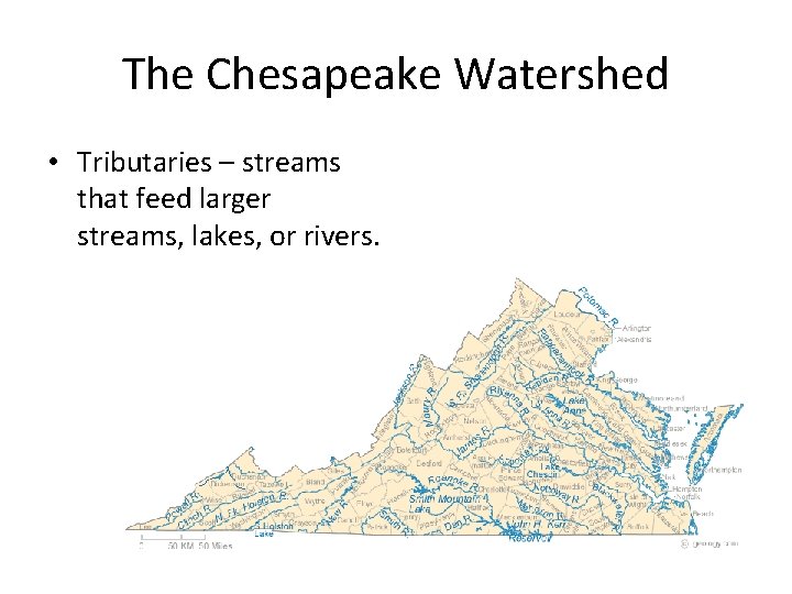 The Chesapeake Watershed • Tributaries – streams that feed larger streams, lakes, or rivers.