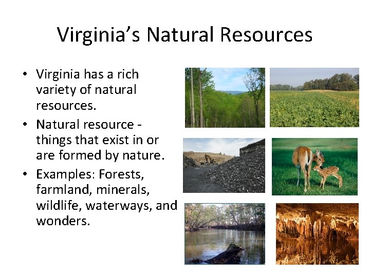 Virginia’s Natural Resources • Virginia has a rich variety of natural resources. • Natural