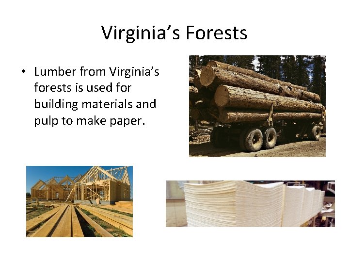 Virginia’s Forests • Lumber from Virginia’s forests is used for building materials and pulp