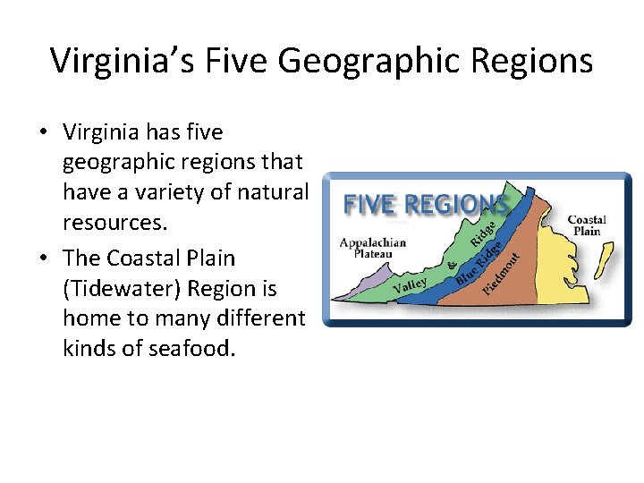 Virginia’s Five Geographic Regions • Virginia has five geographic regions that have a variety
