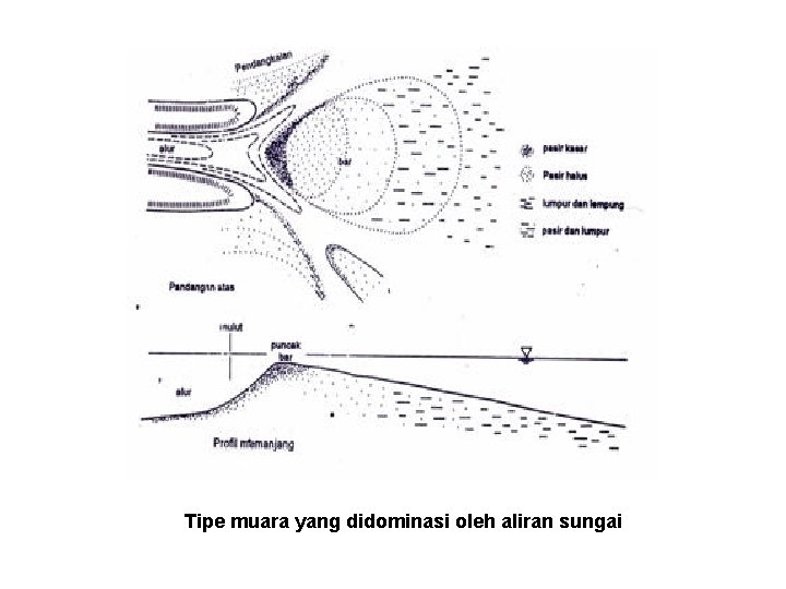 Tipe muara yang didominasi oleh aliran sungai 