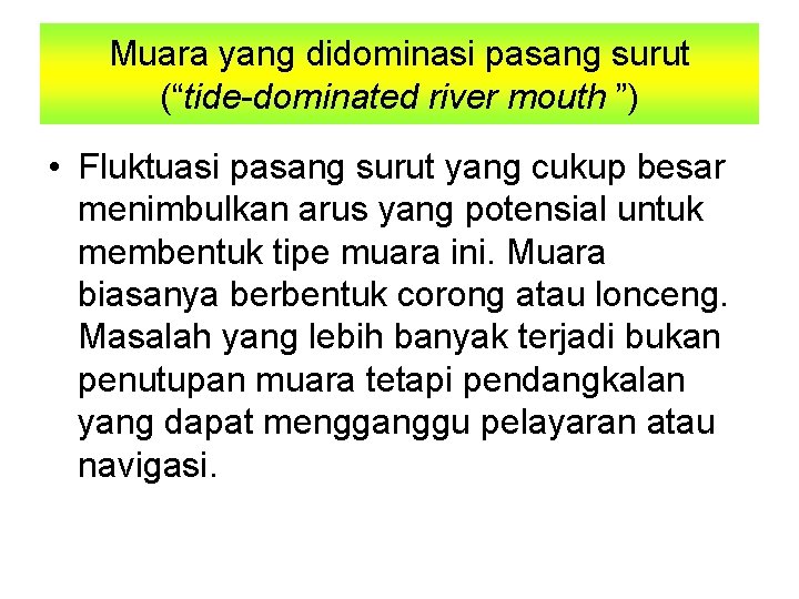 Muara yang didominasi pasang surut (“tide-dominated river mouth ”) • Fluktuasi pasang surut yang