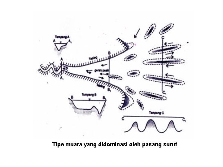 Tipe muara yang didominasi oleh pasang surut 