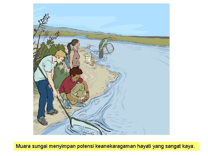 Muara sungai menyimpan potensi keanekaragaman hayati yang sangat kaya. 