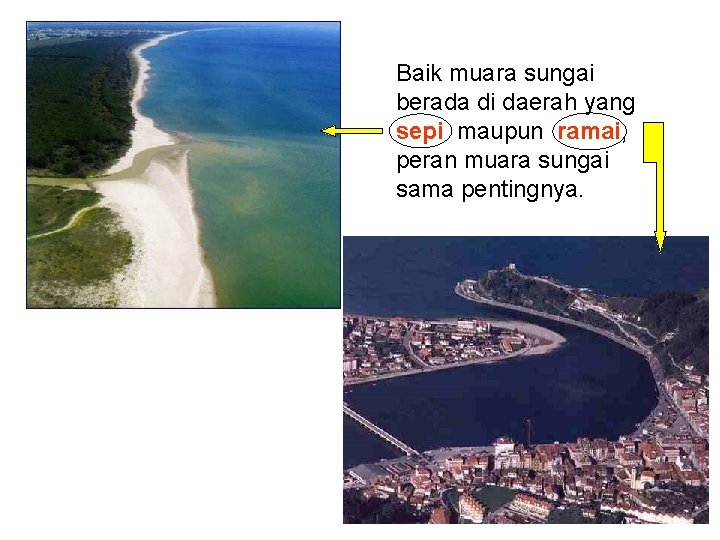 Baik muara sungai berada di daerah yang sepi maupun ramai, peran muara sungai sama