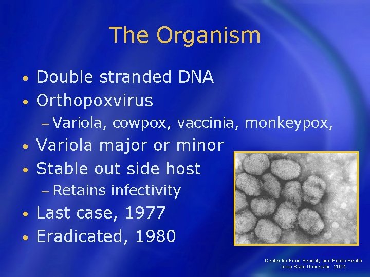 The Organism Double stranded DNA • Orthopoxvirus • − Variola, cowpox, vaccinia, monkeypox, Variola